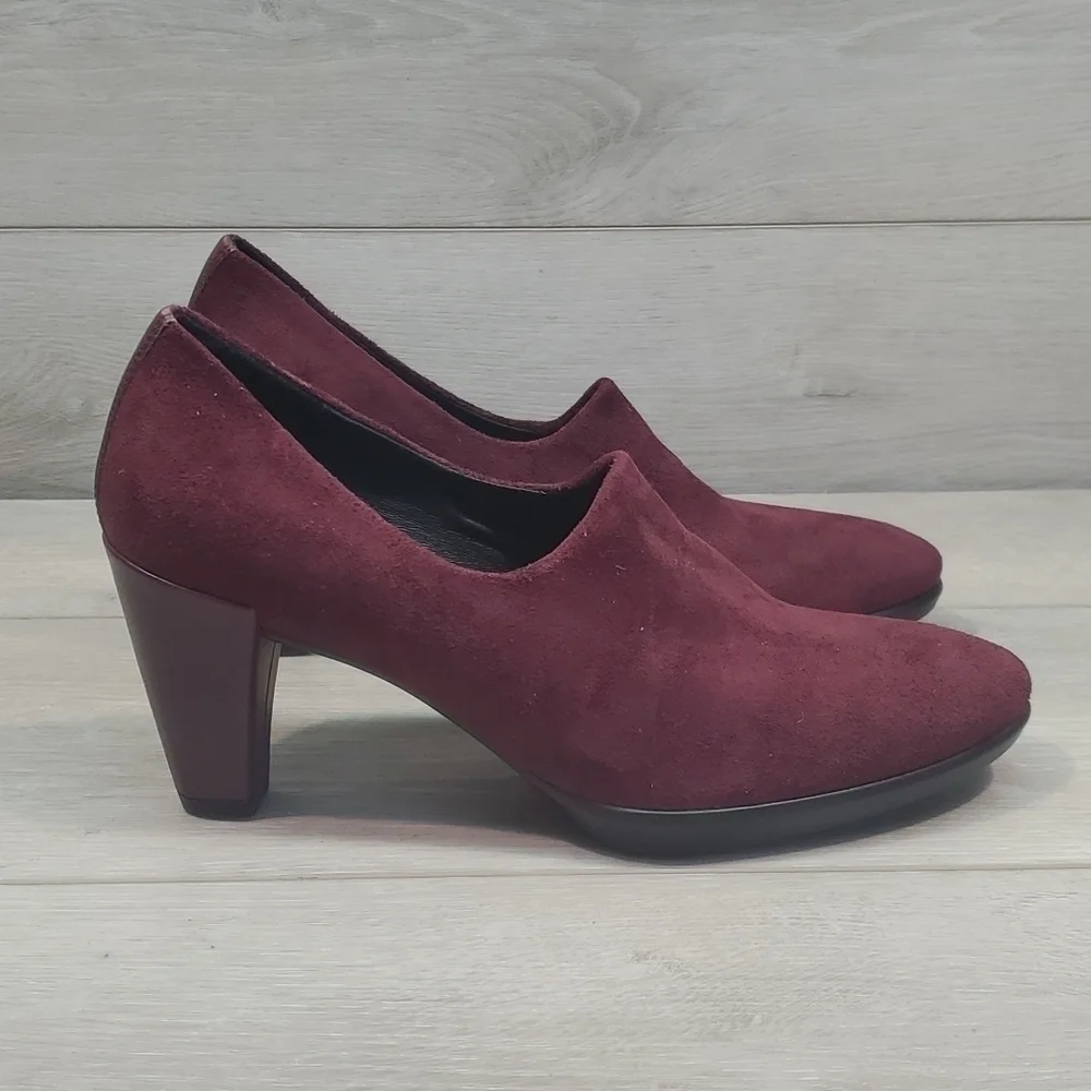 Ecco new p4